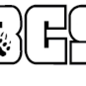 Bearspaw Christian School Logo